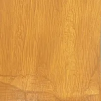 Artist Pigment Paint Transparent Yellow Iron Oxide 50ml (CSASAPPYEL)